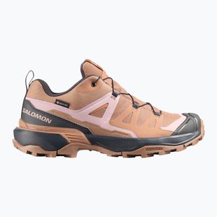 Buty trekkingowe damskie Salomon X Ultra 360 GTX burro/asphalt