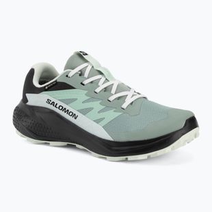 Buty do biegania damskie Salomon Alphaglide GTX green milieu/asphalt