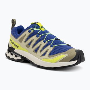 Buty do bieganie męskie Salomon XA Pro 3D V9 bluing/bog/acid lime