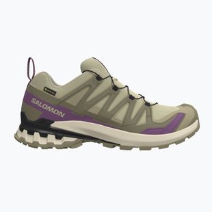 Buty do biegania damskie Salomon XA Pro 3D V9 GTX bog/aloe