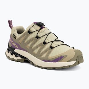 Buty do biegania damskie Salomon XA Pro 3D V9 GTX bog/aloe