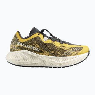 Buty do biegania męskie Salomon Aero Glide 4 GRVL beach ball/asphalt/vanilla ice