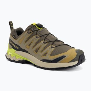 Buty do biegania męskie Salomon XA Pro 3D V9 GTX grape leaf/aloe