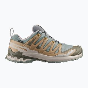 Buty do biegania męskie Salomon XA Pro 3D V9 GTX sedona sage/brilliant olive