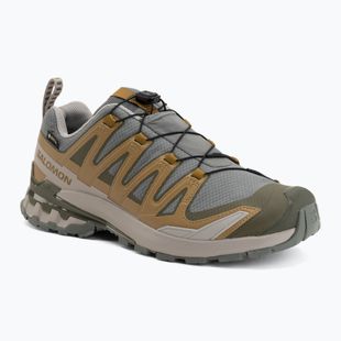 Buty do biegania męskie Salomon XA Pro 3D V9 GTX sedona sage/brilliant olive