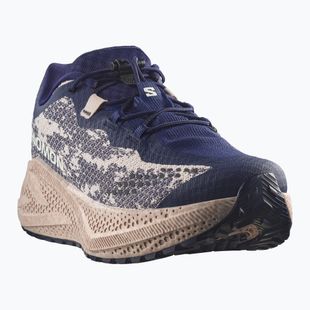 Buty do biegania męskie Salomon Aero Glide 4 GRVL maritime blue/silver cloud