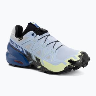 Buty do biegania męskie Salomon Speedcross 6 GTX Icon brunnera blue/surf the web