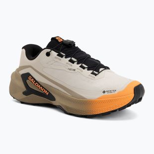Buty do biegania damskie Salomon Genesis 2 GTX rainy day/desert tan