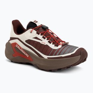 Buty do biegania męskie Salomon Genesis 2 vanilla ice/iron