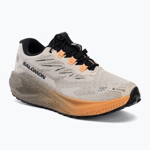 Buty do biegania damskie Salomon Aero Blaze 4 GRVL GTX rainy day/black