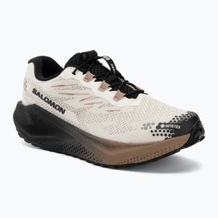 Buty do biegania męskie Salomon Aero Blaze 4 GRVL GTX vanilla ice/black