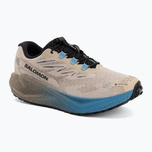 Buty do biegania męskie Salomon Aero Blaze 4 GRVL GTX oxford tan/black