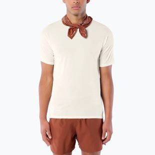 Koszulka do biegania męska Salomon Sense Aero GFX Tee SS whisper white/raind day/bright white