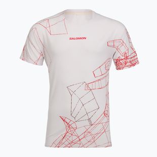 Koszulka do biegania męska Salomon S\Lab Speed Tee SS lilac ash