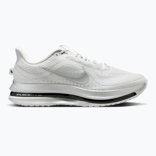 Buty do biegania męskie Nike Pegasus Premium photon dust/metallic Silver/black