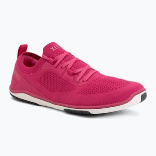 Buty barefoot damskie Xero Shoes Nexus Knit fuchsia purple