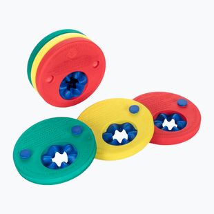 Rękawki do pływania Fashy Dolphin Swim Disc multi-color