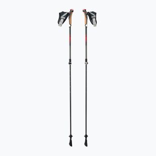 Kije nordic walking LEKI Instructor Lite czarno-srebrne 65326341