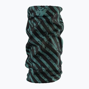 Chusta wielofunkcyjna DYNAFIT Logo Neck Gaiter atlantic/trail