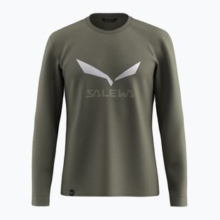 Longsleeve męski Salewa Solidlogo Dry faded green