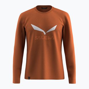 Longsleeve męski Salewa Solidlogo Dry bombay brown