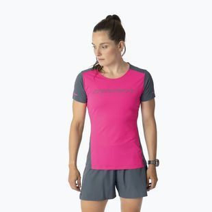 Koszulka do biegania damska DYNAFIT Alpine 2 Tee pink glo
