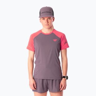 Koszulka do biegania damska Dynafit Alpine Pro SS Tee cabana/6A90