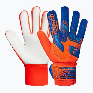 Rękawice bramkarskie Reusch Attrakt Starter Solid shocking orange/blue