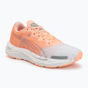 Buty do biegania damskie Puma Velocity Nitro 2 melon/white/grey