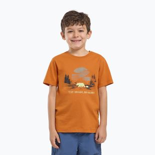 Koszulka dziecięca Jack Wolfskin Graphic Cotton T print soft amber