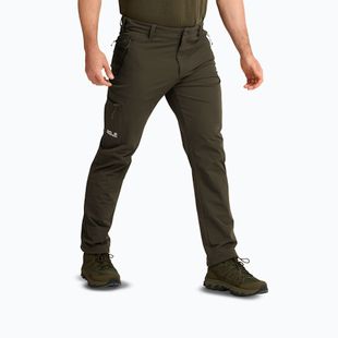 Spodnie trekkingowe męskie Jack Wolfskin Activate Flex obsidian moss
