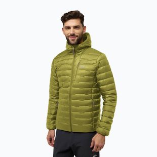 Kurtka puchowa męska Jack Wolfskin Passamani Down Hoody khaki green