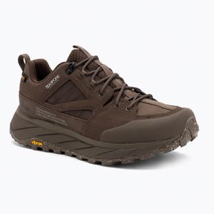 Buty trekkingowe męskie Jack Wolfskin Terraquest Texapore Low gecko bear