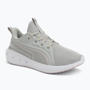 Buty do biegania PUMA Softride Carson cool light gray/rose mauve/puma silver