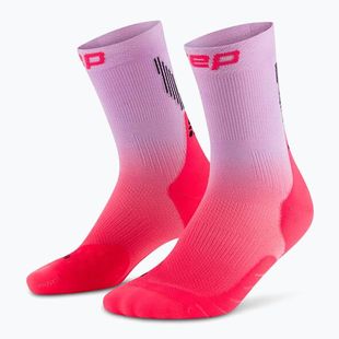 Skarpety kompresyjne męskie CEP Run Edt. Gradient Mid Cut Compression 5.0 pink/lilac fade