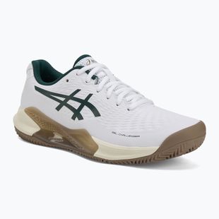Buty do tenisa męskie ASICS Gel-Challenger 14 Clay white/saxon green