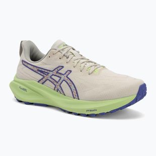 Buty do biegania męskie ASICS GT-2000 13 TR nature bathing/lime green