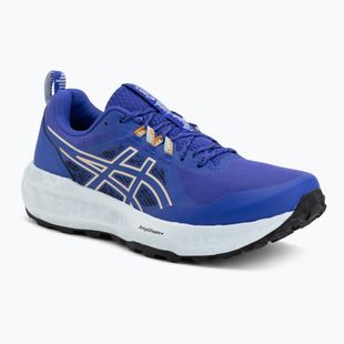 Buty do biegania męskie ASICS Gel-Sonoma 8 cobalt burst/apricot crush