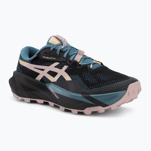 Buty do biegania damskie ASICS Trabuco 14 GTX black/morganite