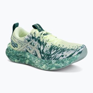 Buty do biegania męskie ASICS Noosa Tri 16 illuminate yellow/jewel green