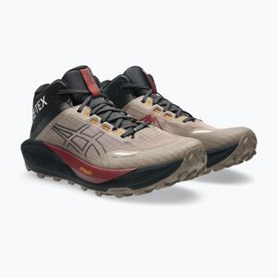 Buty do biegania męskie ASICS Gel-Trabuco MT GTX taupe grey/graphite grey