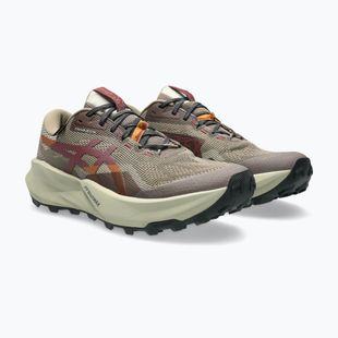 Buty do biegania męskie ASICS Trabuco 14 GTX taupe grey/oatmeal