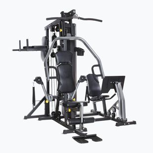 Atlas Horizon Fitness Torus 5