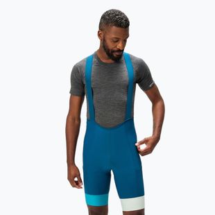 Spodenki rowerowe męskie Endura Loop Bibshort barra blue