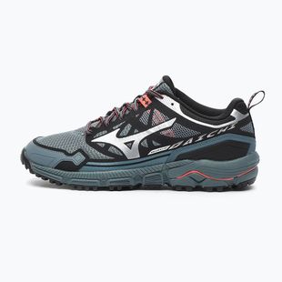 Buty męskie Mizuno Wave Daichi LS stormy weather/silver