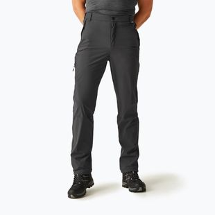 Spodnie trekkingowe męskie REGATTA Travel Light Packaway ash