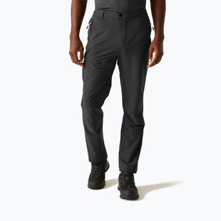 Spodnie trekkingowe męskie REGATTA Highton II ash