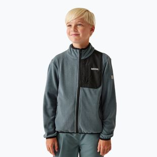 Bluza polarowa dziecięca REGATTA Frankie Full Zip stormy weather