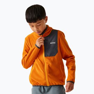 Bluza polarowa dziecięca REGATTA Frankie Full Zip fox