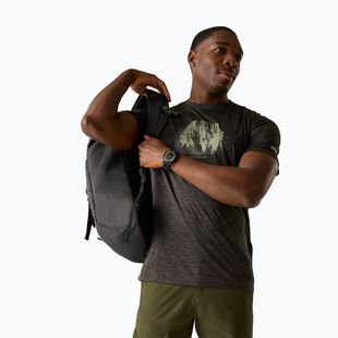 Koszulka trekkingowa męska REGATTA Fingal ash marl